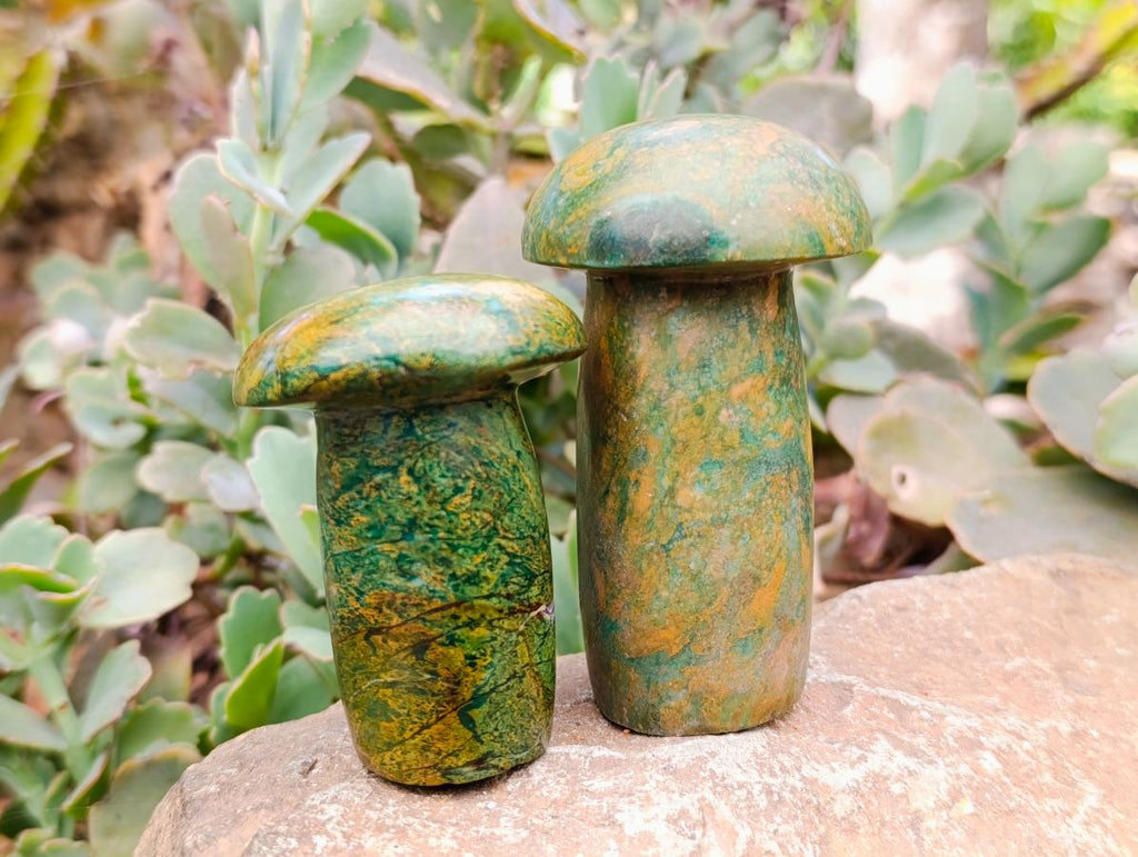 Polished Verdite Mushrooms x 6 From Zimbabwe