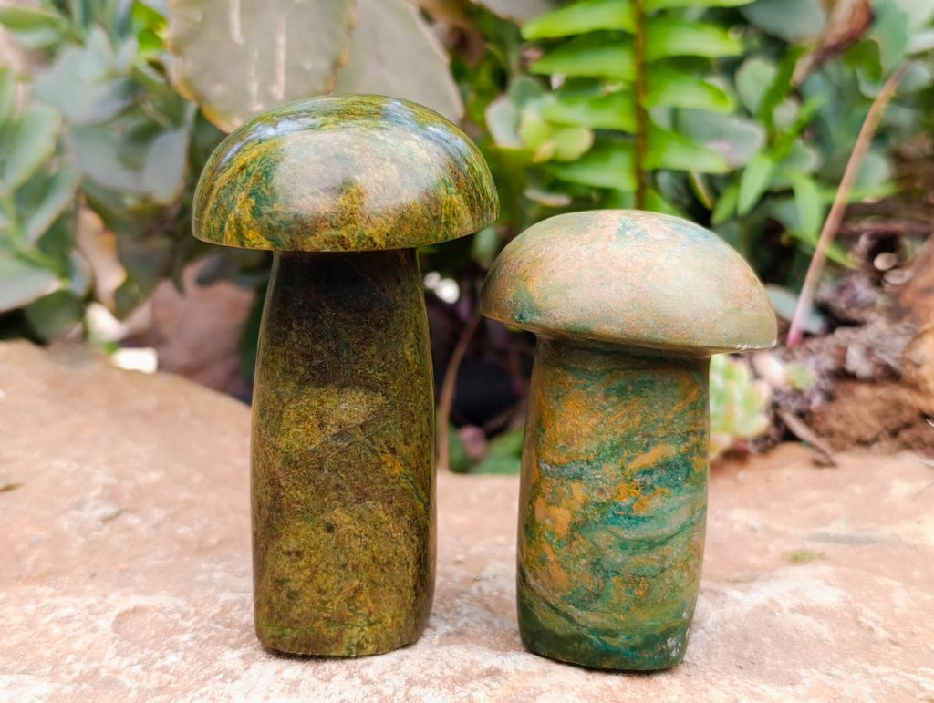 Polished Verdite Mushrooms x 6 From Zimbabwe