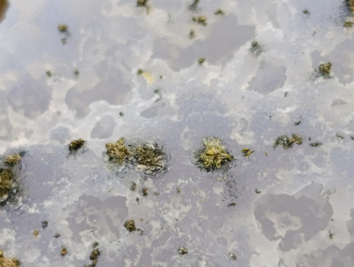 Natural Etched Blue Chalcedony Geode Specimens x 35 From Nsanje, Malawi