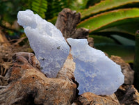 Natural Etched Blue Chalcedony Geode Specimens x 35 From Nsanje, Malawi