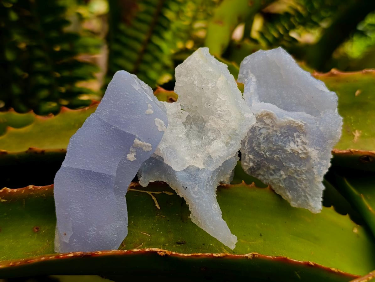 Natural Etched Blue Chalcedony Geode Specimens x 35 From Nsanje, Malawi
