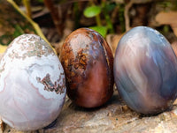 Polished Red Shashe River Agate Eggs x 9 From Shashe River, Zimbabwe