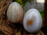 Polished Red Shashe River Agate Eggs x 9 From Shashe River, Zimbabwe