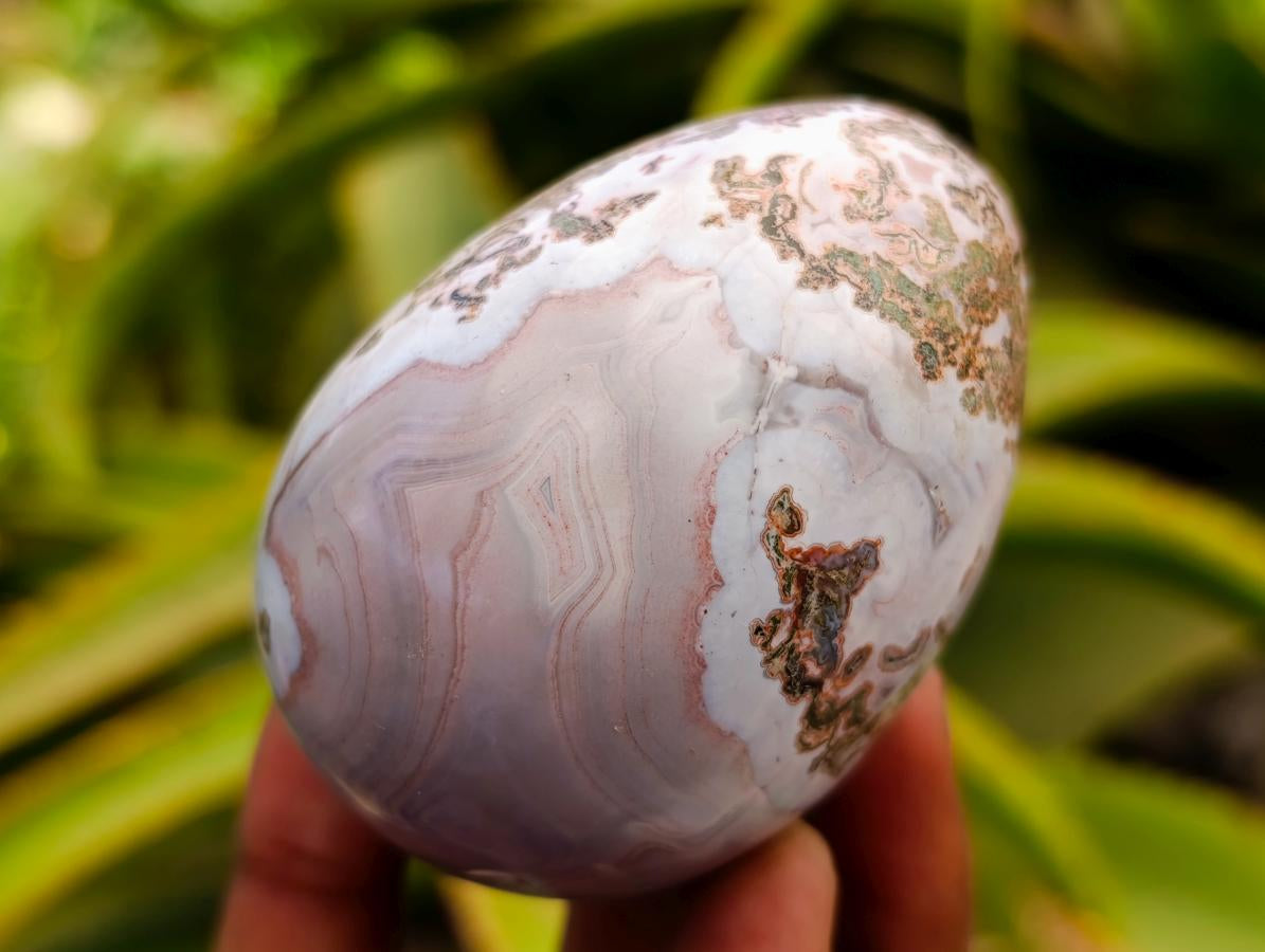 Polished Red Shashe River Agate Eggs x 9 From Shashe River, Zimbabwe - Toprock Gemstones and Minerals 