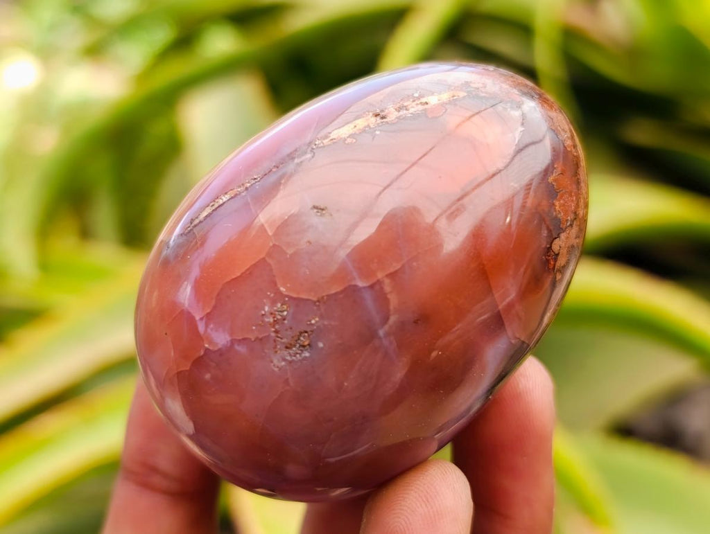 Polished Red Shashe River Agate Eggs x 9 From Shashe River, Zimbabwe - Toprock Gemstones and Minerals 