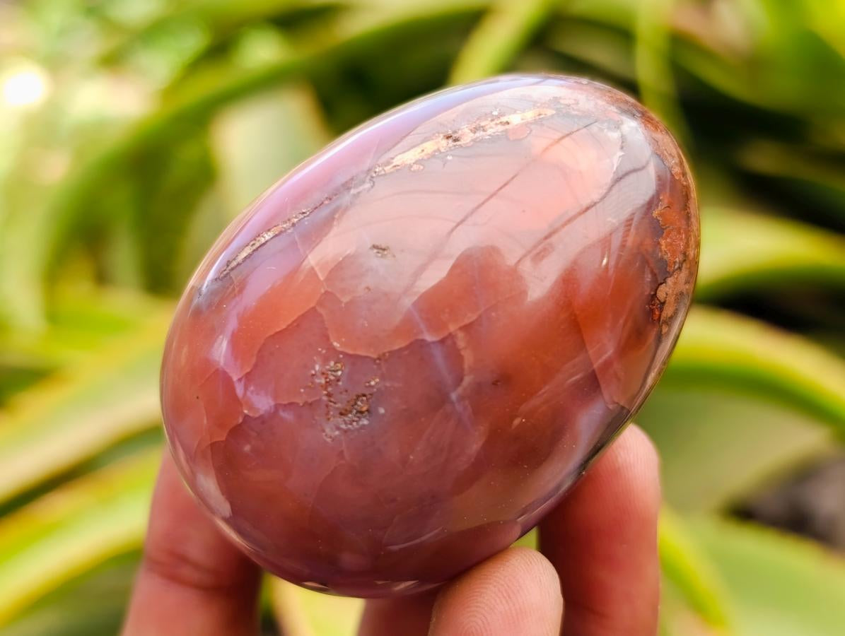 Polished Red Shashe River Agate Eggs x 9 From Shashe River, Zimbabwe - Toprock Gemstones and Minerals 