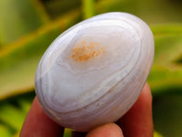 Polished Red Shashe River Agate Eggs x 9 From Shashe River, Zimbabwe