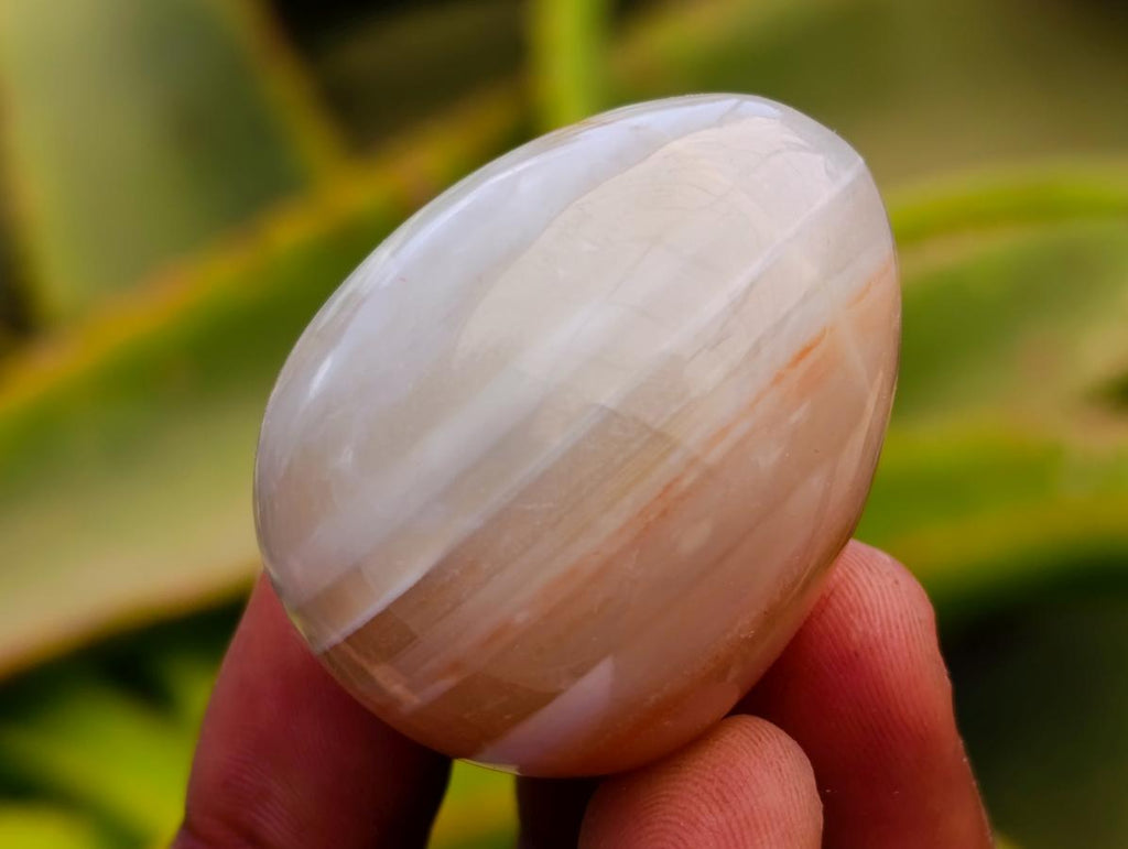 Polished Red Shashe River Agate Eggs x 9 From Shashe River, Zimbabwe - Toprock Gemstones and Minerals 