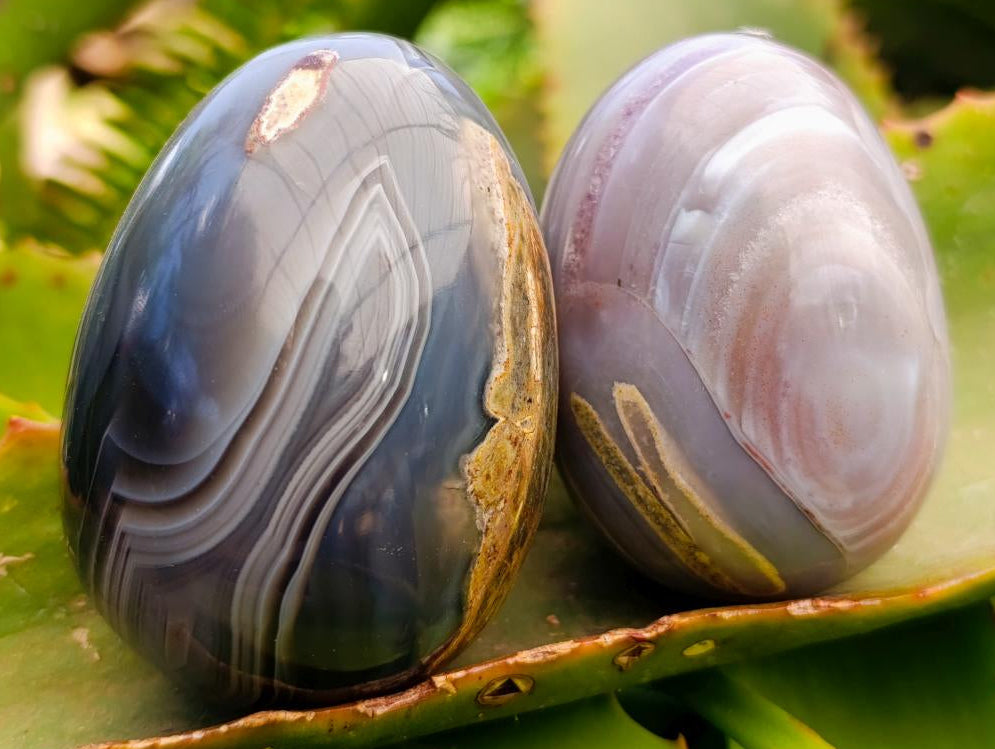 Polished Red Shashe River Agate Eggs x 9 From Shashe River, Zimbabwe - Toprock Gemstones and Minerals 