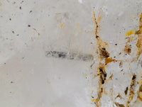 Polished Clear Pentium Quartz Crystal With Inclusions x 1 From Madagascar