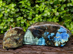 Polished Labradorite Standing Free Forms x 2 From Tulear, Madagascar