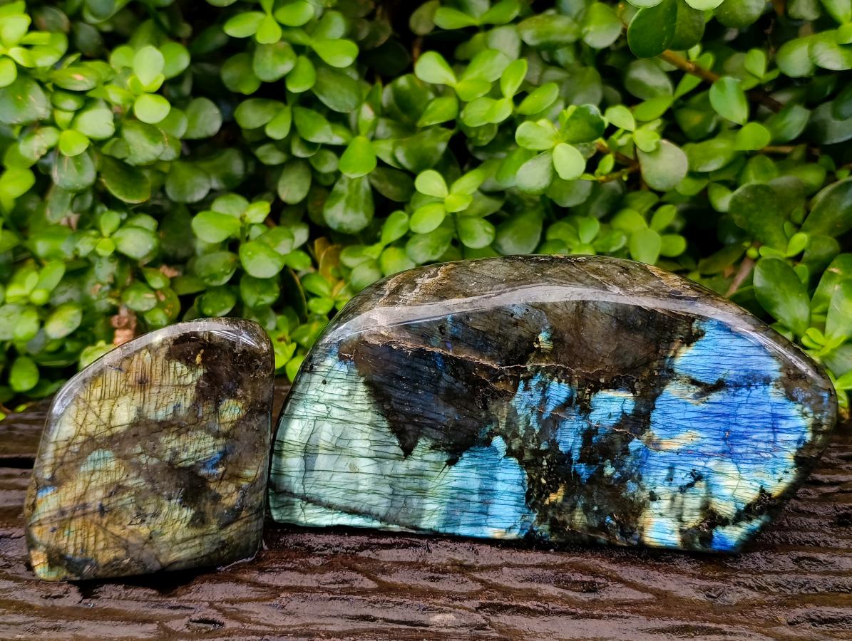 Polished Labradorite Standing Free Forms x 2 From Tulear, Madagascar