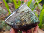Polished Labradorite Standing Free Forms x 2 From Tulear, Madagascar