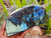 Polished Labradorite Standing Free Forms x 2 From Tulear, Madagascar