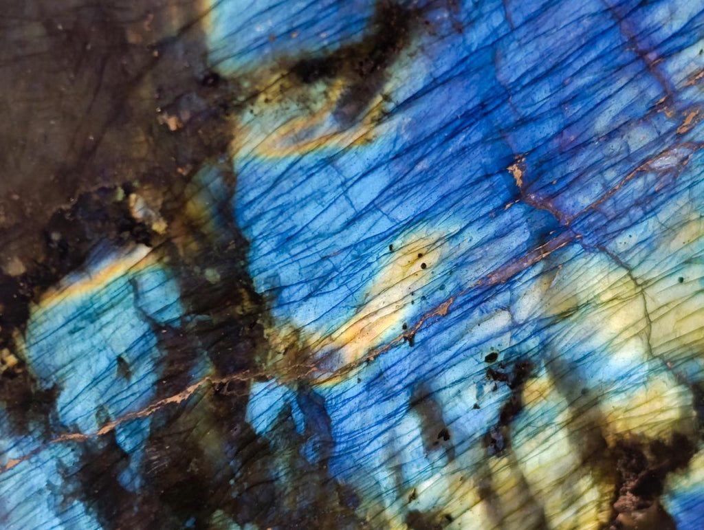 Polished Labradorite Standing Free Forms x 2 From Tulear, Madagascar