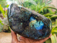 Polished Labradorite Standing Free Forms x 2 From Tulear, Madagascar