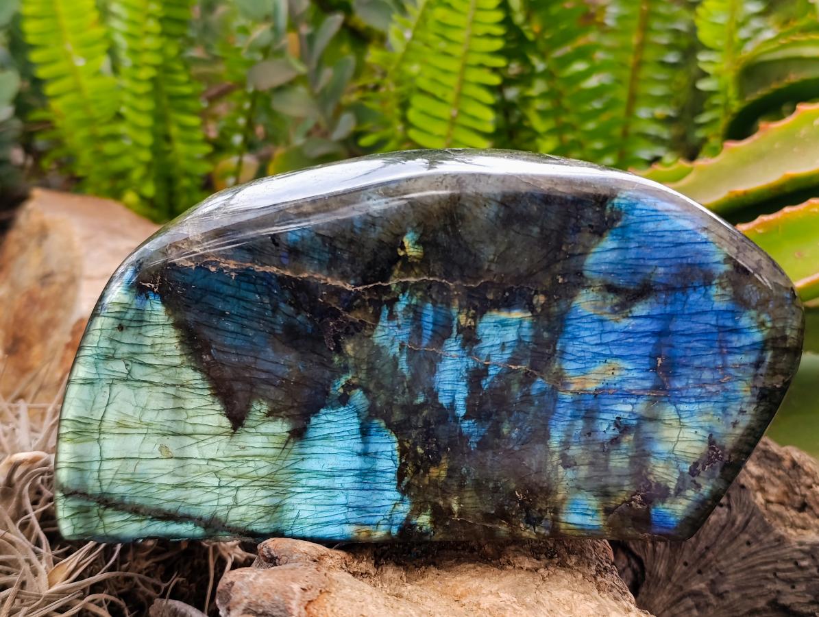 Polished Labradorite Standing Free Forms x 2 From Tulear, Madagascar