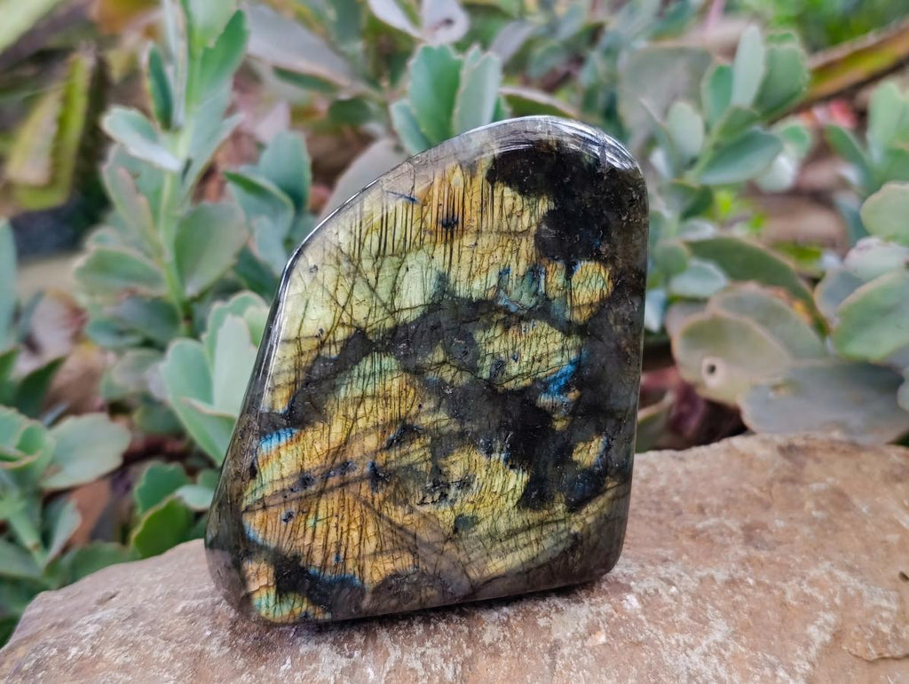 Polished Labradorite Standing Free Forms x 2 From Tulear, Madagascar
