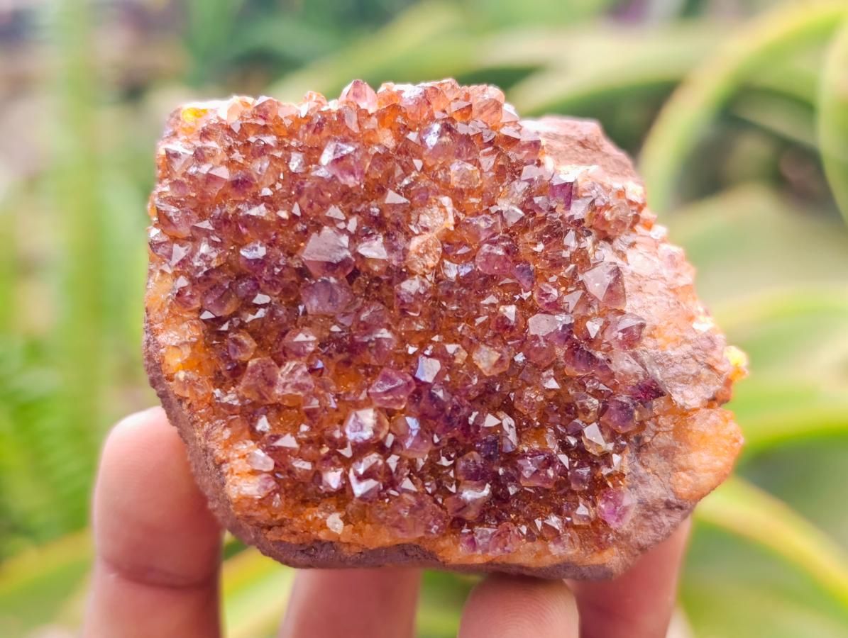 Natural Amethystos Amethyst Clusters x 6 From Kwaggafontein, South Africa