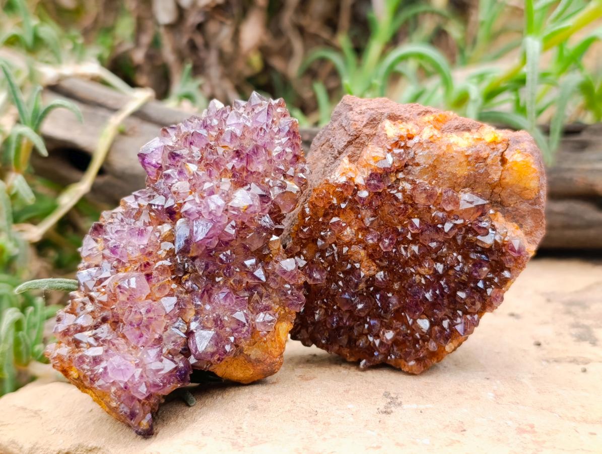Natural Amethystos Amethyst Clusters x 6 From Kwaggafontein, South Africa