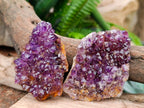 Natural Amethystos Amethyst Clusters x 6 From Kwaggafontein, South Africa