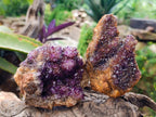 Natural Amethystos Amethyst Clusters x 6 From Kwaggafontein, South Africa