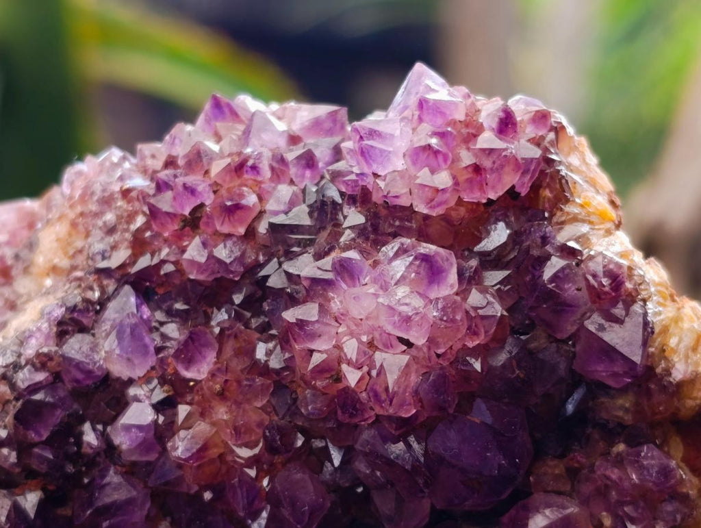 Natural Amethystos Amethyst Clusters x 6 From Kwaggafontein, South Africa