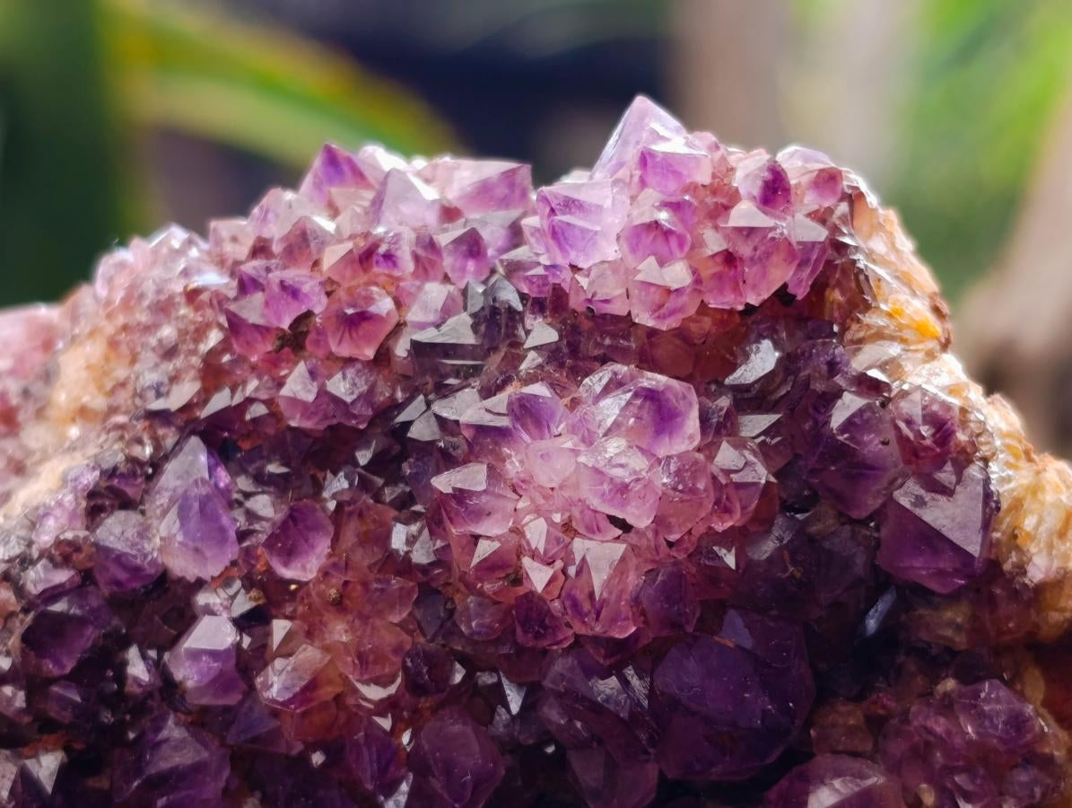 Natural Amethystos Amethyst Clusters x 6 From Kwaggafontein, South Africa