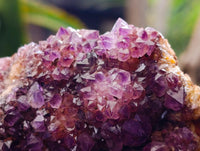 Natural Amethystos Amethyst Clusters x 6 From Kwaggafontein, South Africa