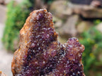 Natural Amethystos Amethyst Clusters x 6 From Kwaggafontein, South Africa
