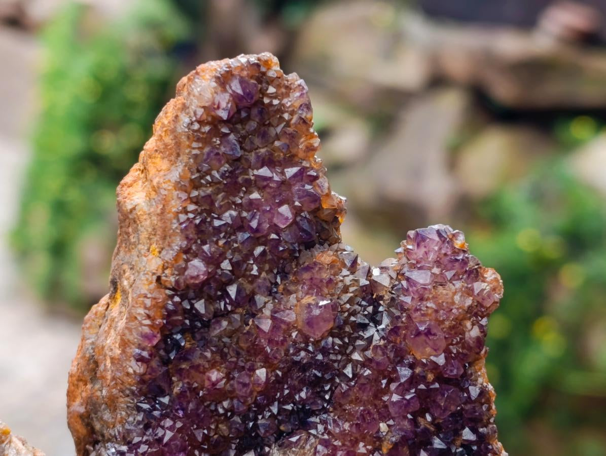 Natural Amethystos Amethyst Clusters x 6 From Kwaggafontein, South Africa