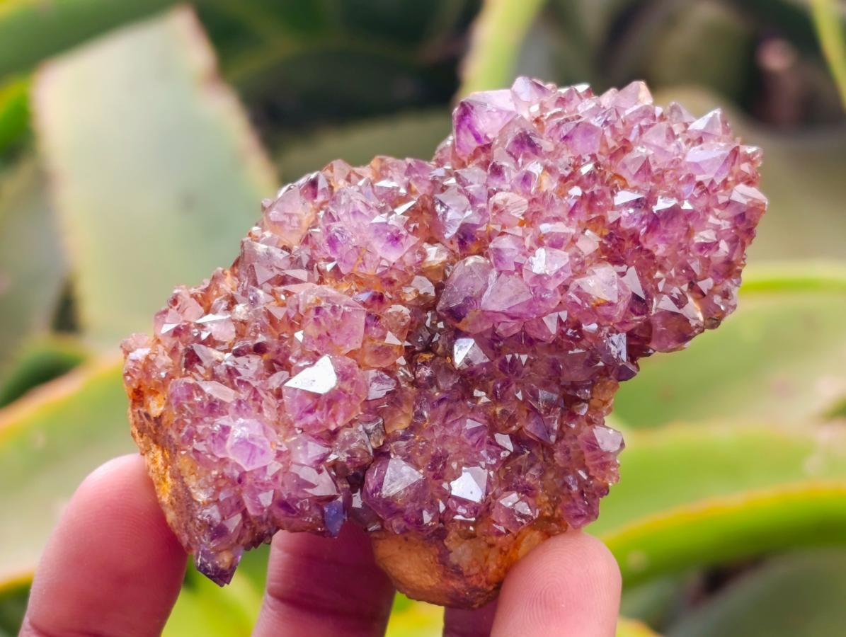 Natural Amethystos Amethyst Clusters x 6 From Kwaggafontein, South Africa