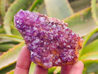 Natural Amethystos Amethyst Clusters x 6 From Kwaggafontein, South Africa