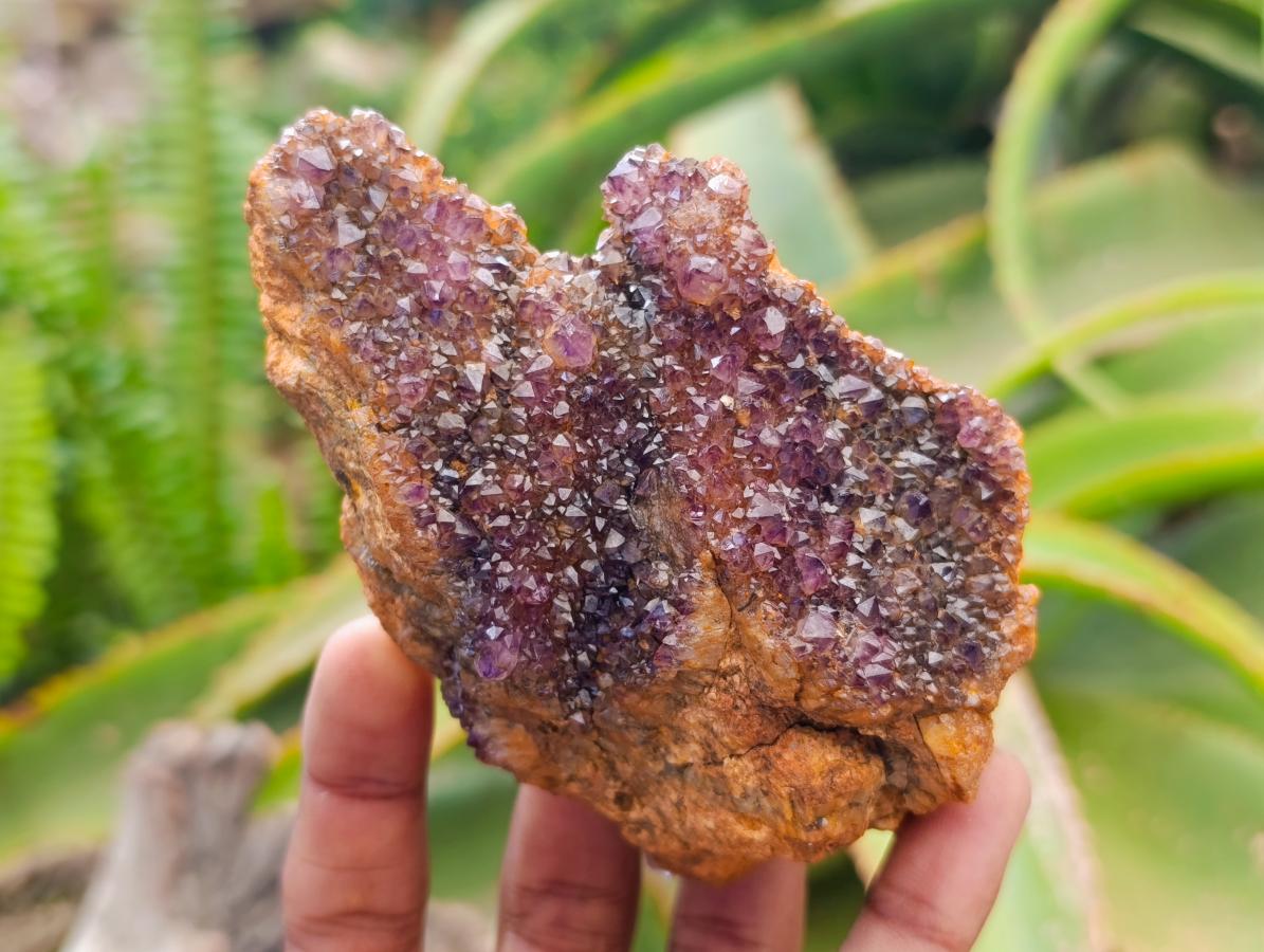 Natural Amethystos Amethyst Clusters x 6 From Kwaggafontein, South Africa