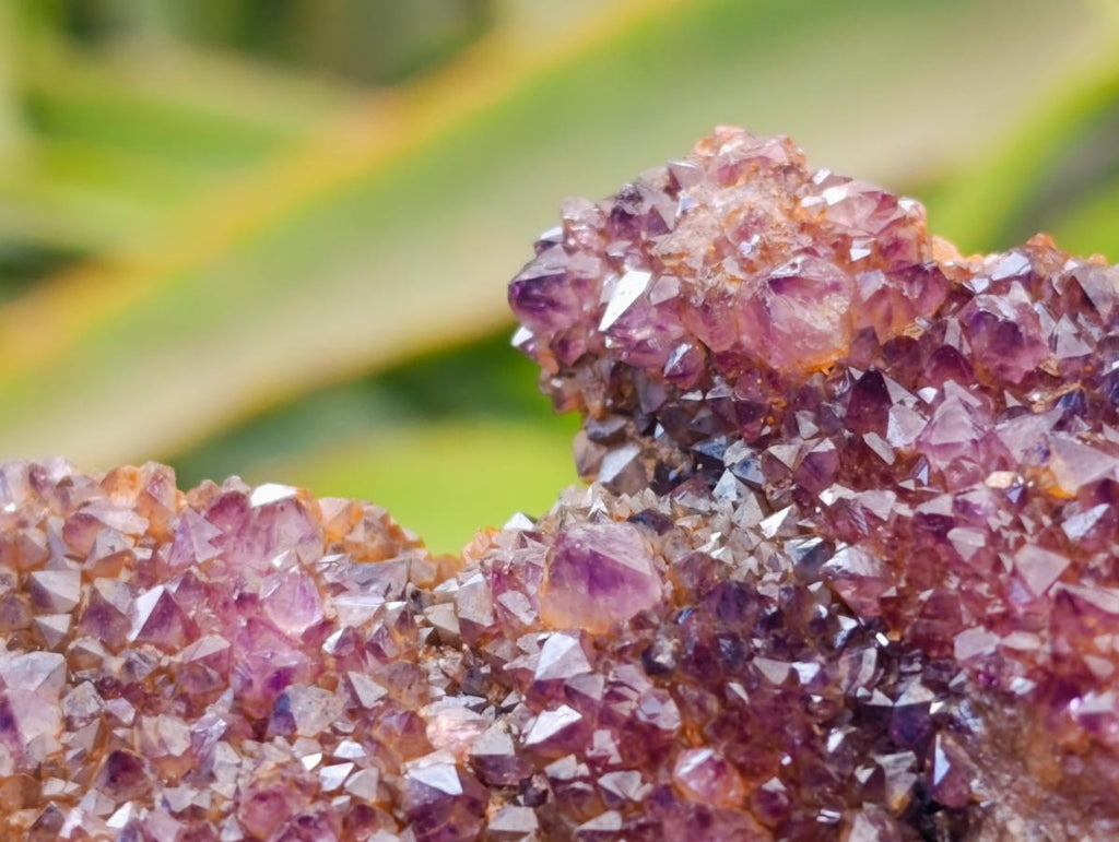 Natural Amethystos Amethyst Clusters x 6 From Kwaggafontein, South Africa