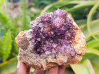 Natural Amethystos Amethyst Clusters x 6 From Kwaggafontein, South Africa