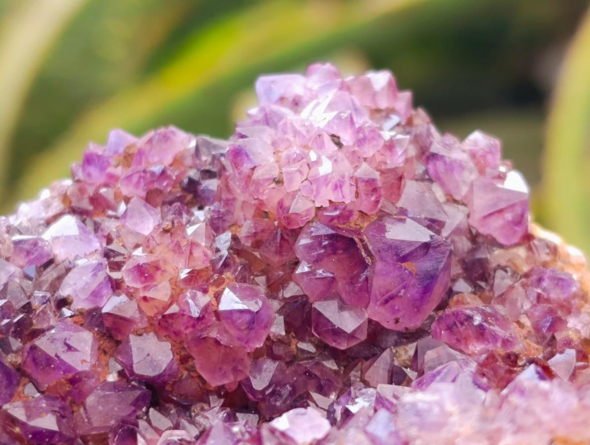 Natural Amethystos Amethyst Clusters x 6 From Kwaggafontein, South Africa