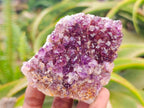 Natural Amethystos Amethyst Clusters x 6 From Kwaggafontein, South Africa