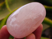 Polished Rose Quartz Palm Stones x 20 From Madagascar