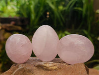 Polished Rose Quartz Palm Stones x 20 From Madagascar