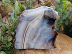 Polished On One Side Banded Agate Standing Display Piece x 1 From Madagascar