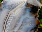 Polished On One Side Banded Agate Standing Display Piece x 1 From Madagascar