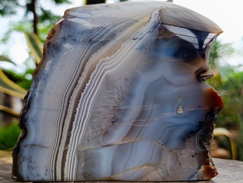 Polished On One Side Banded Agate Standing Display Piece x 1 From Madagascar