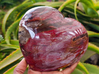 Polished Red Podocarpus Petrified Wood Hearts x 2 From Mahajanga, Madagascar