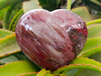 Polished Red Podocarpus Petrified Wood Hearts x 2 From Mahajanga, Madagascar