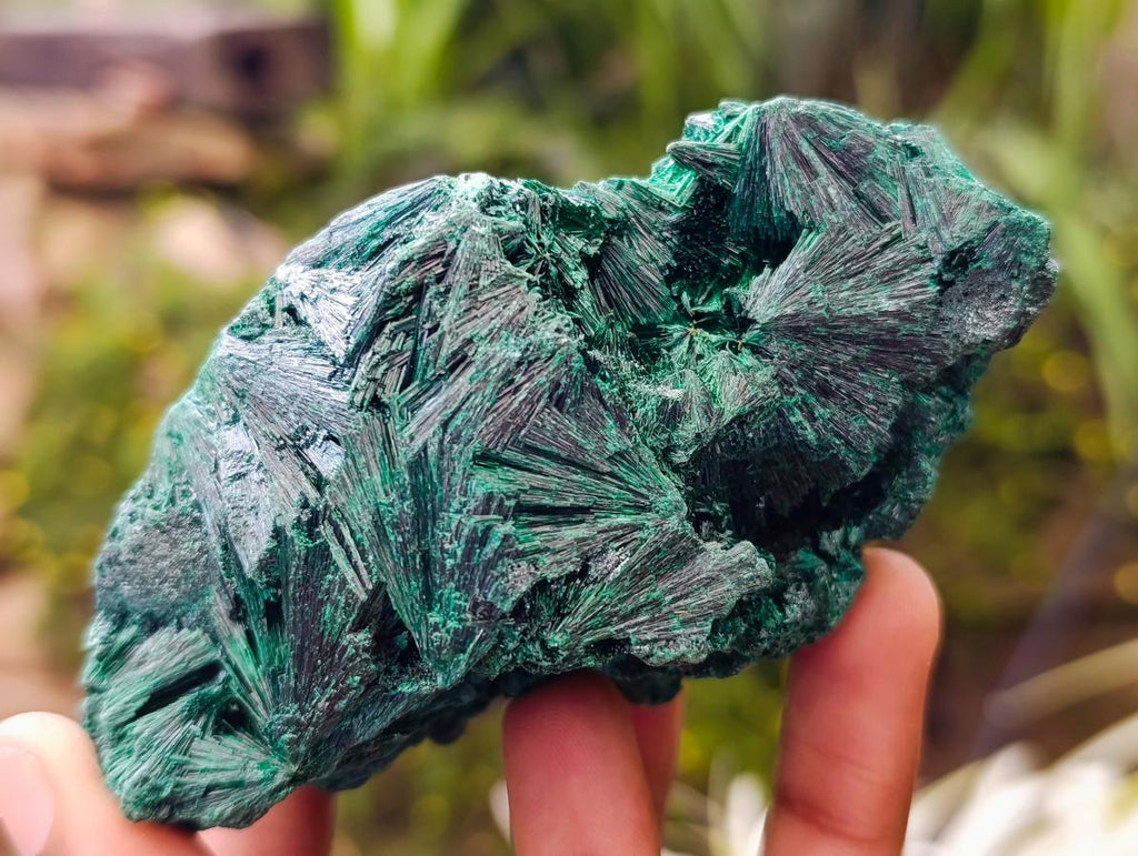 Natural Silky Malachite Specimens x 4 From Kasompe, Congo