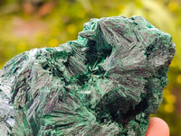 Natural Silky Malachite Specimens x 4 From Kasompe, Congo