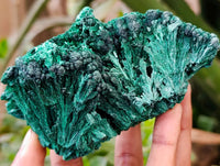 Natural Silky Malachite Specimens x 4 From Kasompe, Congo