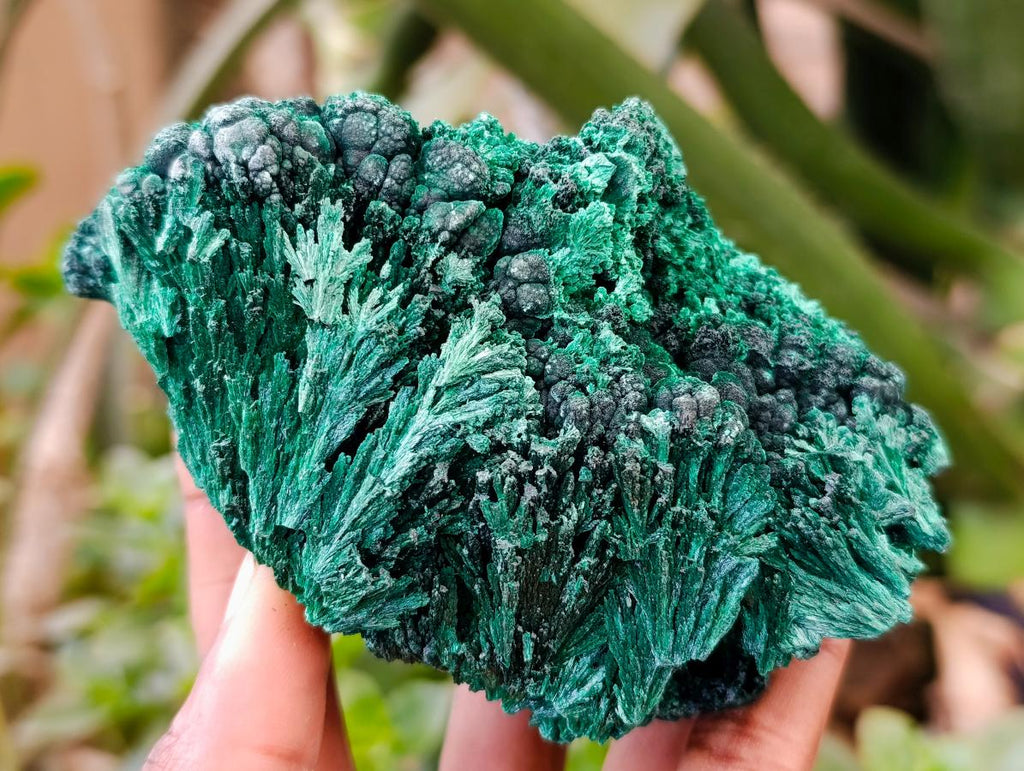 Natural Silky Malachite Specimens x 4 From Kasompe, Congo