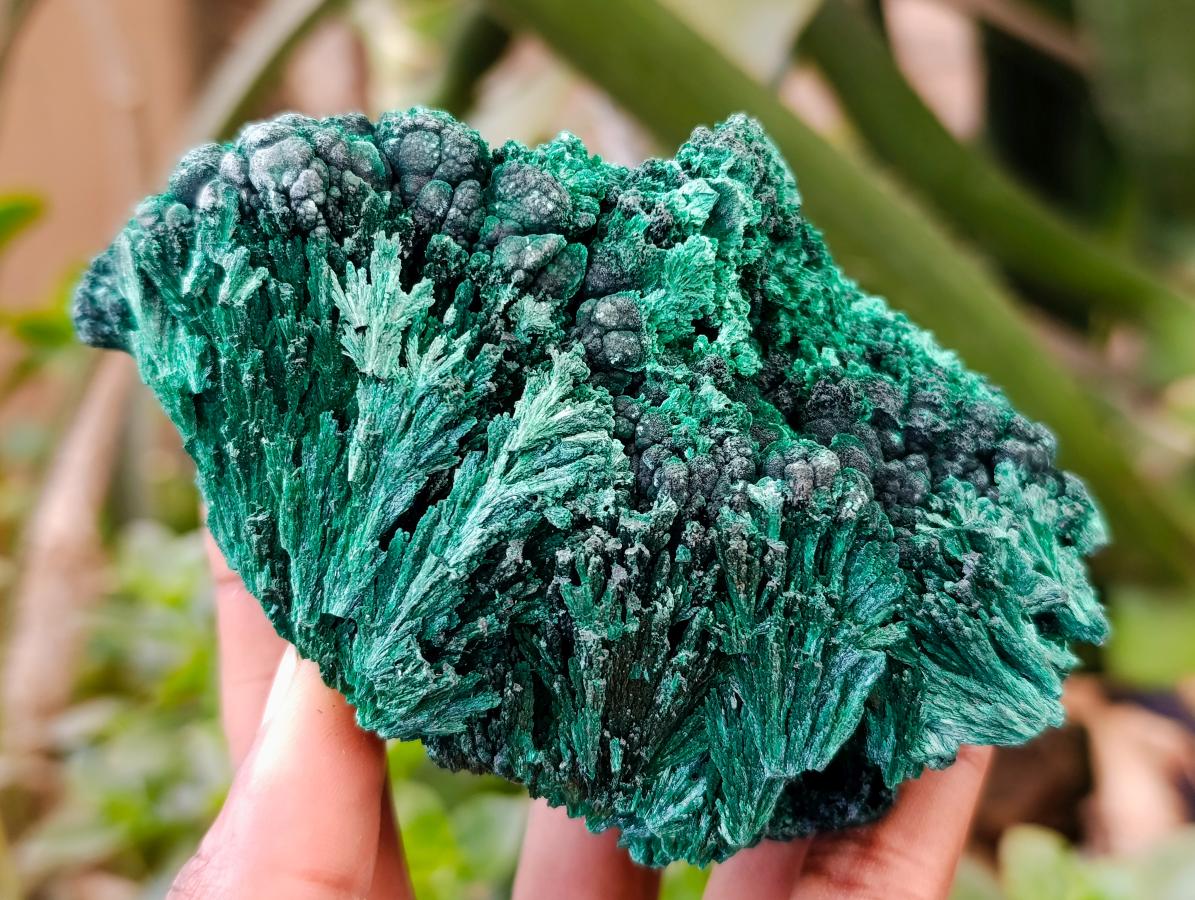 Natural Silky Malachite Specimens x 4 From Kasompe, Congo